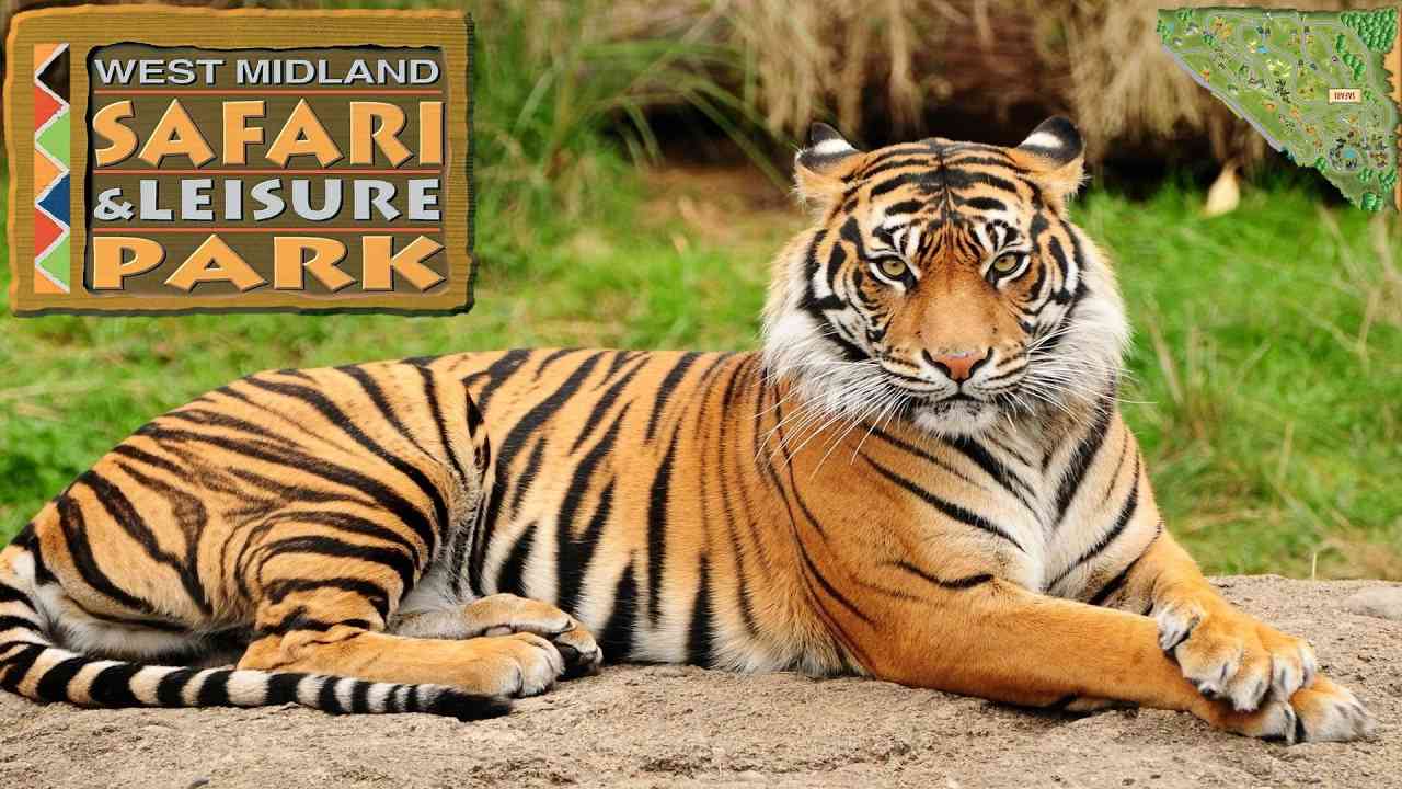 Safari Park West Midlands